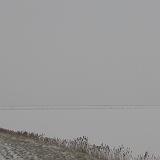 019 IJs-Monnickendam